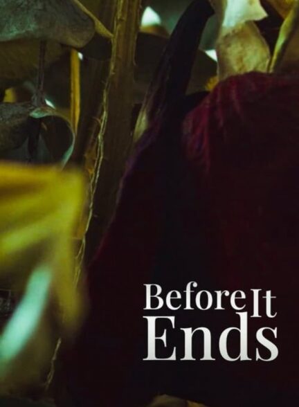 فیلم قبل از اینکه به پایان برسد Before It Ends