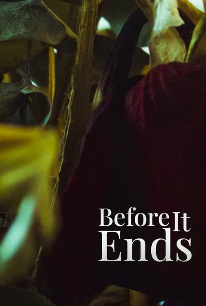 فیلم قبل از اینکه به پایان برسد Before It Ends