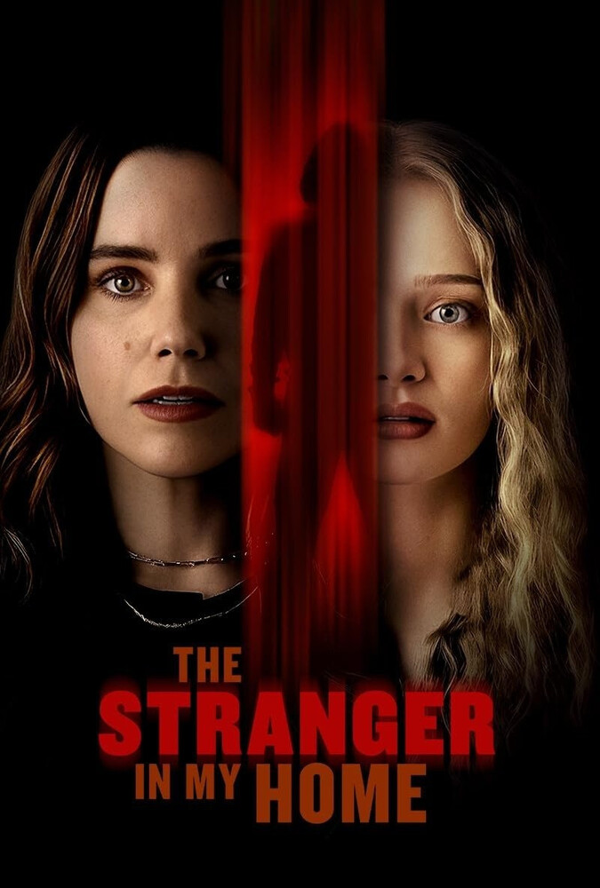 فیلم غریبه ای در خانه ی من The Stranger in My Home