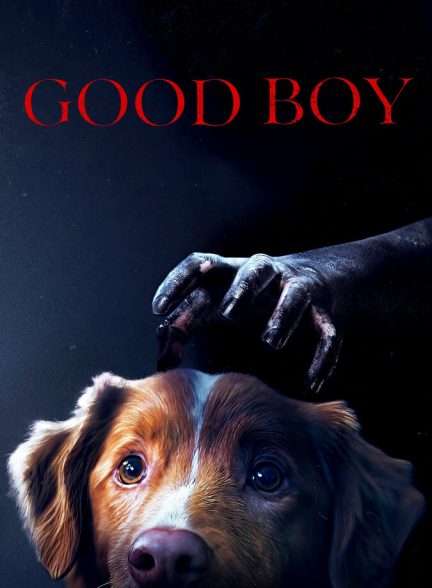 فیلم پسر خوب Good Boy