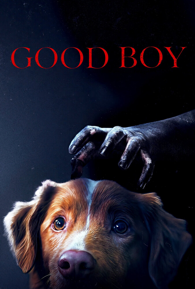 فیلم پسر خوب Good Boy